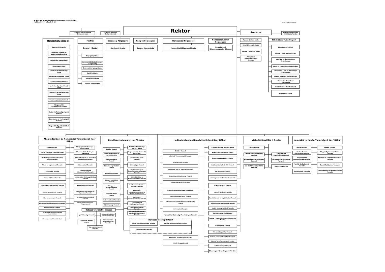 Organogram 2025.02.01-től